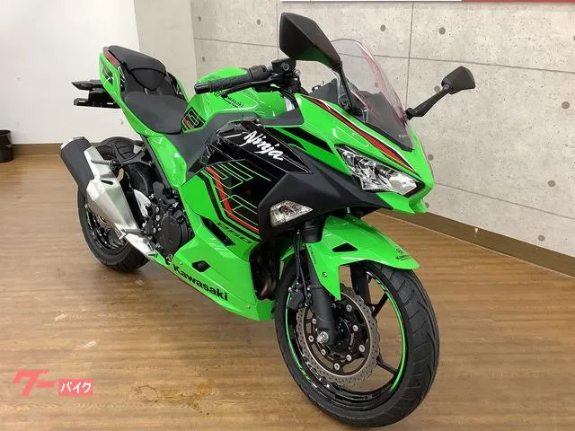 Kawasaki Ninja 250 2023 — миниатюра 4