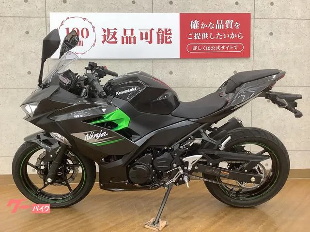 Kawasaki Ninja 250 2024 — миниатюра 5