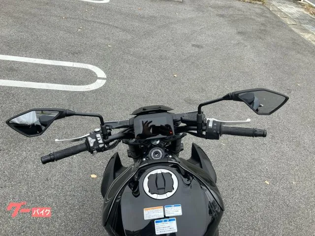 Kawasaki Z900 ABS ETC 2025 — миниатюра 2