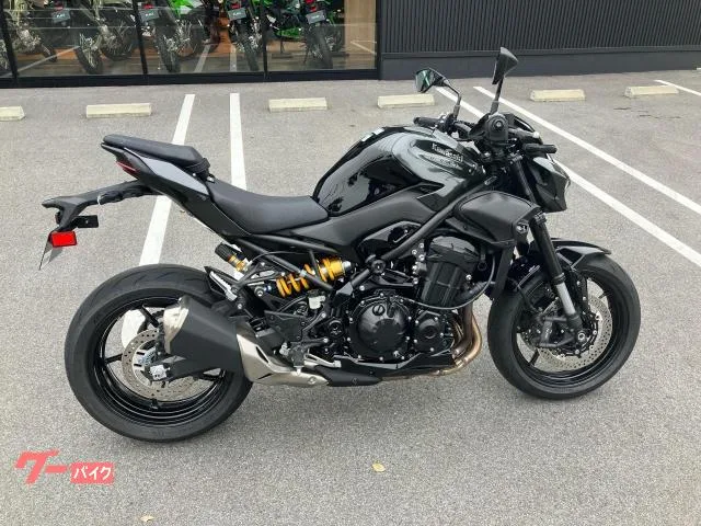 Kawasaki Z900 ABS ETC 2025 — фото 1, купить с доставкой в Москву