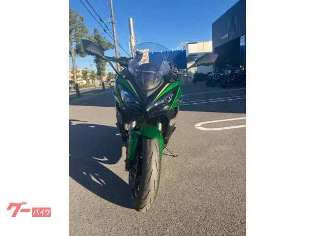Kawasaki Ninja 1100 SX SE 2025 — миниатюра 2