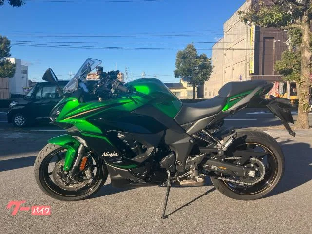 Kawasaki Ninja 1100 SX SE 2025 — миниатюра 3