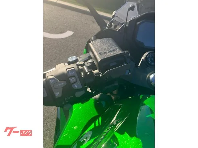 Kawasaki Ninja 1100 SX SE 2025 — миниатюра 4