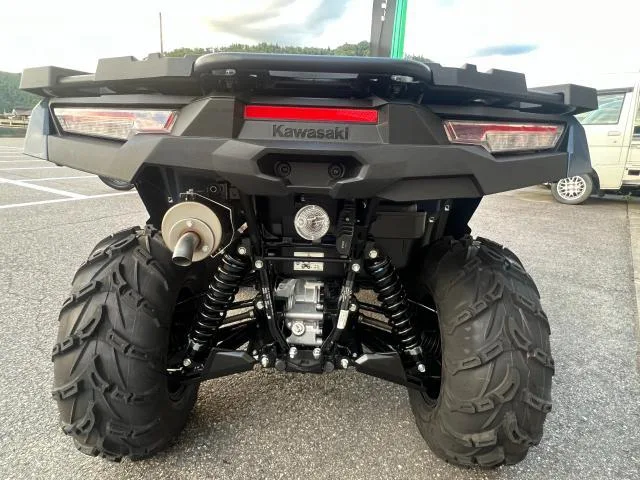 Buggy Kawasaki 750EPS 2026 2026 — миниатюра 5