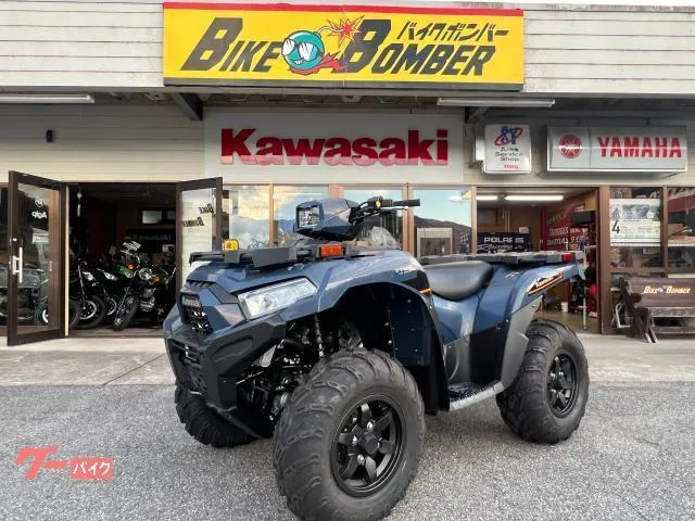 Buggy Kawasaki 750EPS 2026 2026 — фото 1, купить с доставкой в Москву