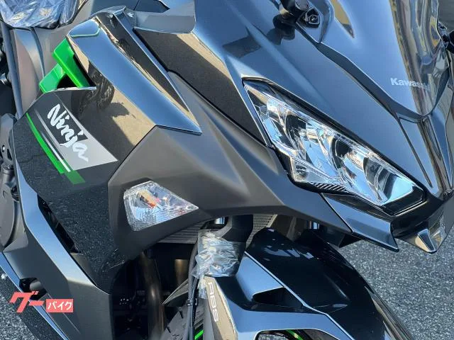 Kawasaki Ninja 250 2023 2023 — миниатюра 3