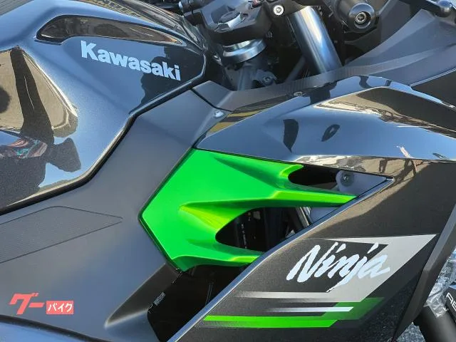 Kawasaki Ninja 250 2023 2023 — миниатюра 4