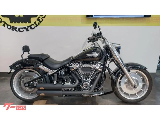 HARLEY-DAVIDSON FLFBS 114 2023 — фото 1, купить с доставкой в Москву