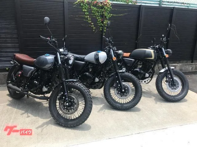 MUTT 250 ABS 5 2022 — миниатюра 3