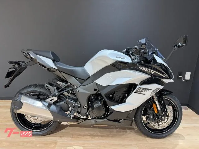 Kawasaki Ninja 1100 SX 3 ETC2.0 USB 2025 — фото 1, купить с доставкой в Москву