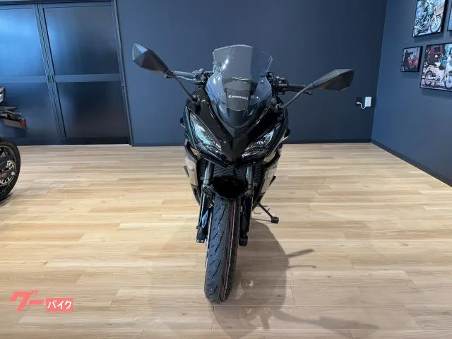 Kawasaki Ninja 1100 SX 3 ETC2.0 USB 2025 — миниатюра 3