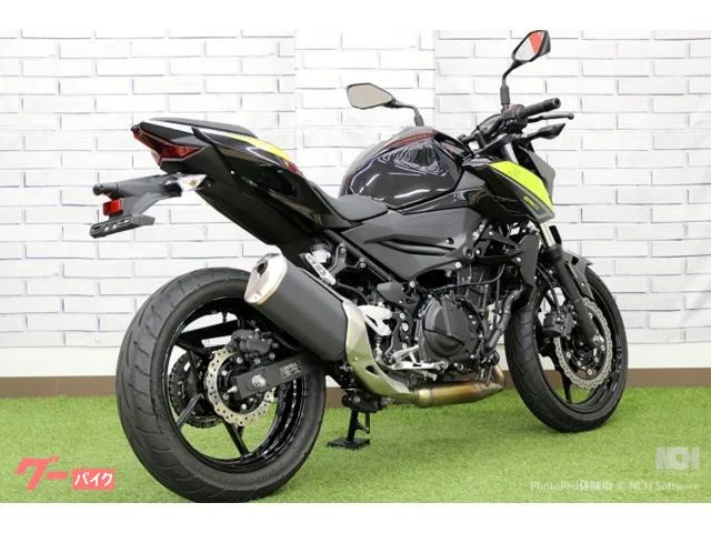 Kawasaki Z250 EX250P 2022 — миниатюра 4
