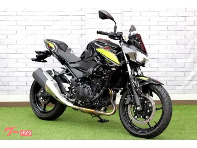 Kawasaki Z250 EX250P 2022 — фото 1, купить с доставкой в Москву