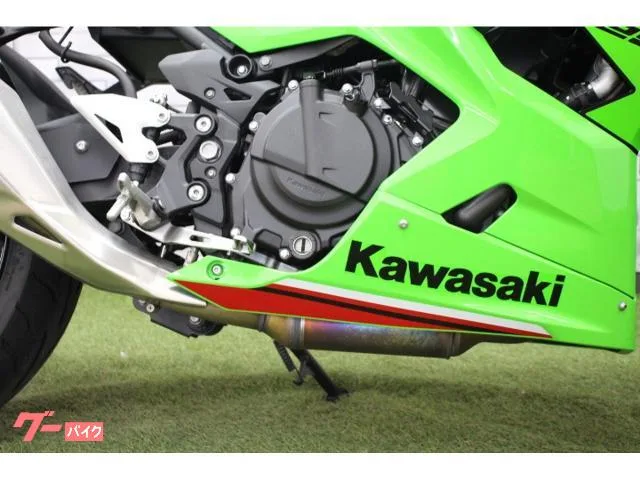 Kawasaki Ninja 250 2024 — миниатюра 2