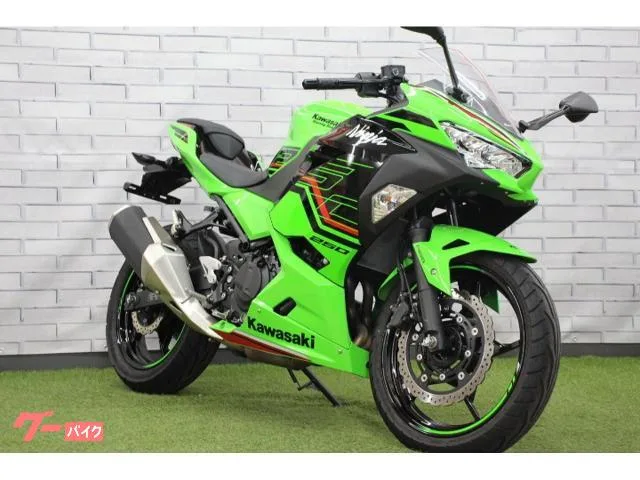 Kawasaki Ninja 250 2024 — фото 1, купить с доставкой в Москву