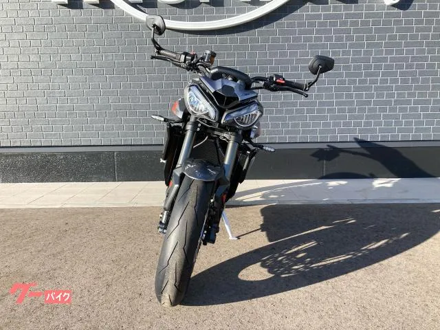 TRIUMPH RS ETC2.0 2024 — миниатюра 3