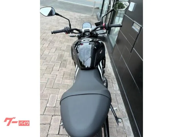 TRIUMPH 660 ABS 2025 — миниатюра 5