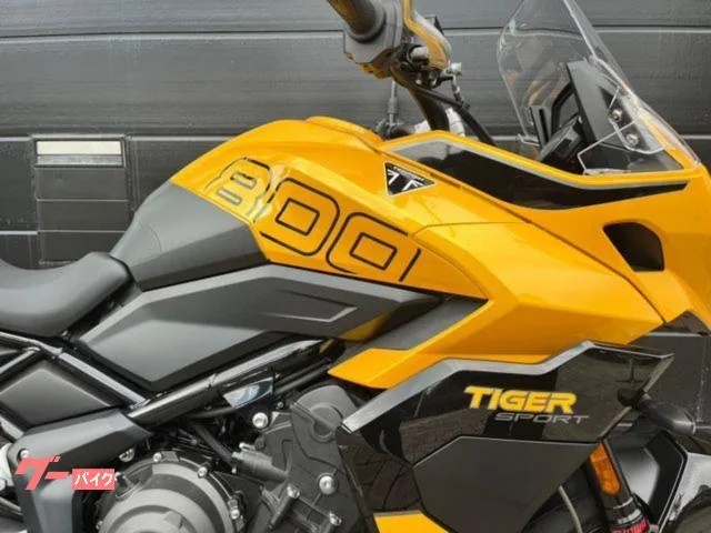 TRIUMPH 800 ABS 2025 — миниатюра 3
