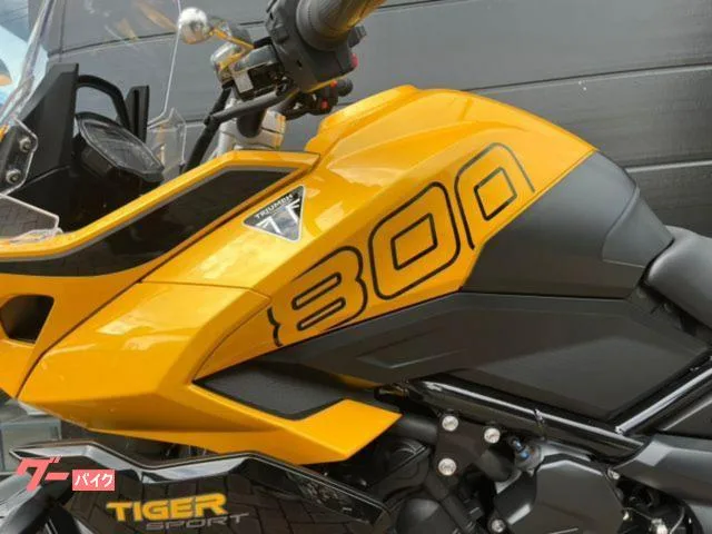 TRIUMPH 800 ABS 2025 — миниатюра 4