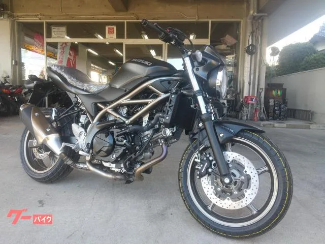 Suzuki SV650 M5 2025 — фото 1, купить с доставкой в Москву