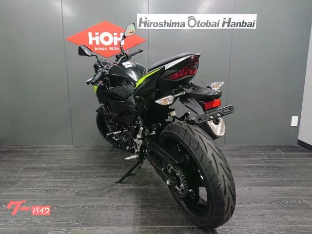 Kawasaki Z250 ABS ETC2.0 USB 2022 — миниатюра 2