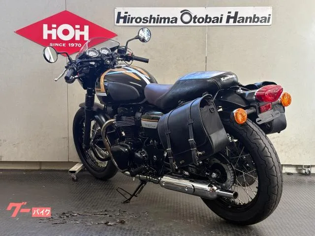 Kawasaki W800 EJ800E ETC 2022 — миниатюра 5