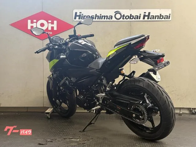 Kawasaki Z250 ABS 2022 — миниатюра 2