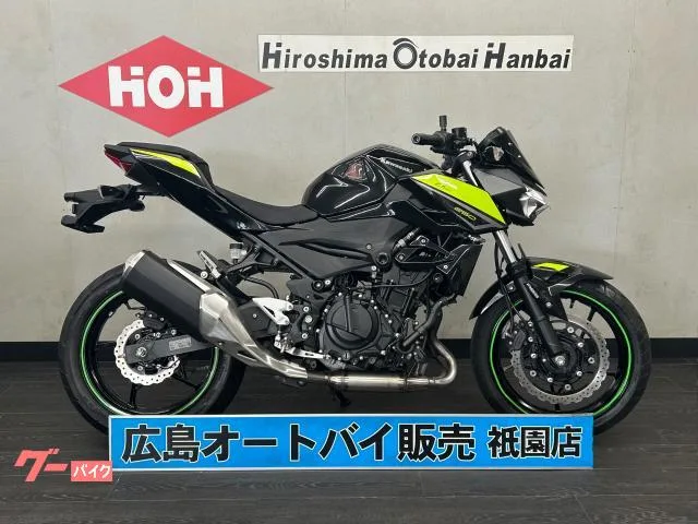 Kawasaki Z250 ABS USB 2022 — фото 1, купить с доставкой в Москву