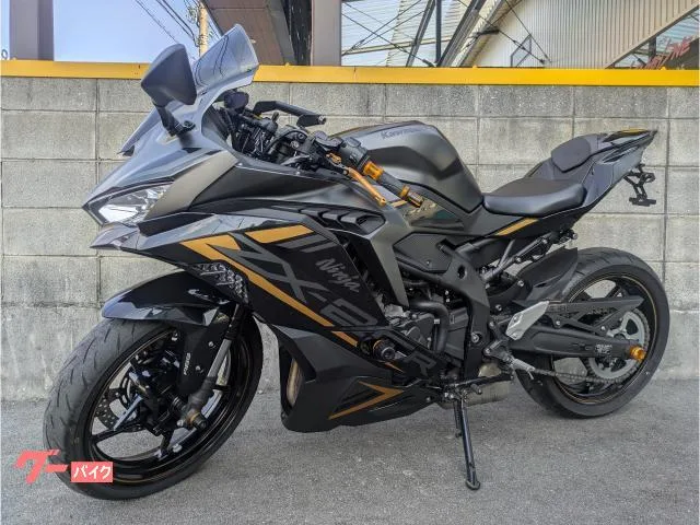 Kawasaki Ninja ZX-25R SE 2022 — миниатюра 3