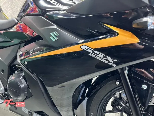 Suzuki GSX250R ABS 2023 — миниатюра 5