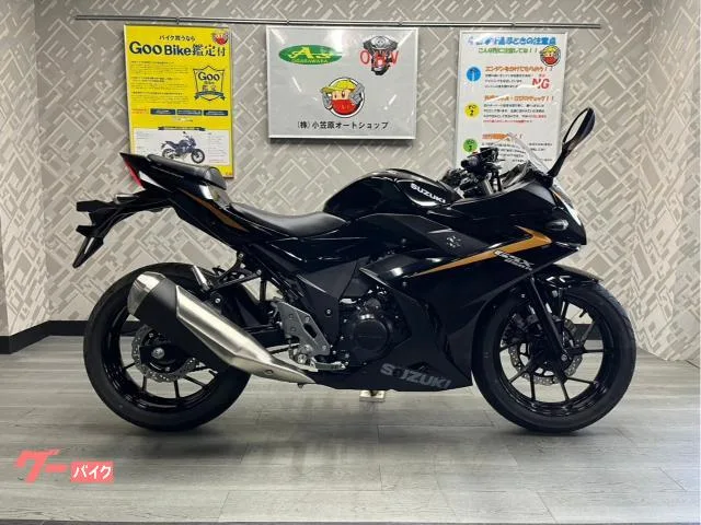 Suzuki GSX250R ABS 2023 — фото 1, купить с доставкой в Москву