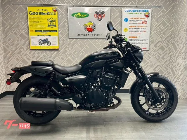 Kawasaki 400SE 2024 — фото 1, купить с доставкой в Москву