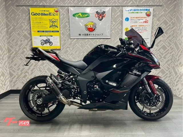 Kawasaki Ninja 1000 SX LCI 2022 — фото 1, купить с доставкой в Москву