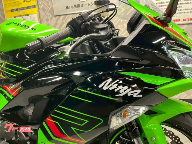 Kawasaki Ninja ZX-6R BEET 2023 — миниатюра 5