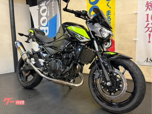 Kawasaki Z250 2022 — миниатюра 3
