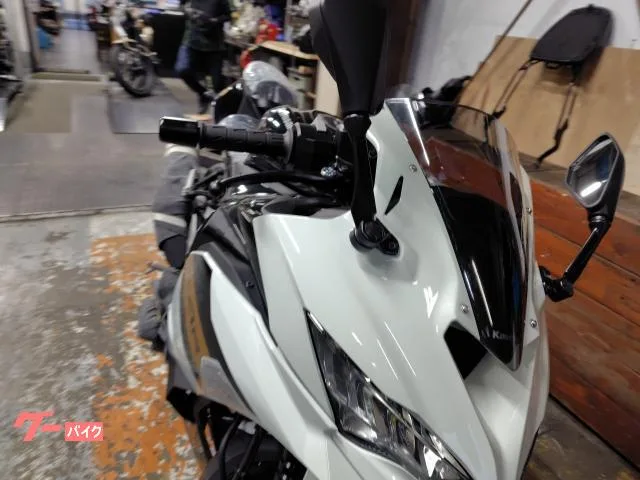 Kawasaki Ninja ZX-4R SE 2026 2026 — миниатюра 2