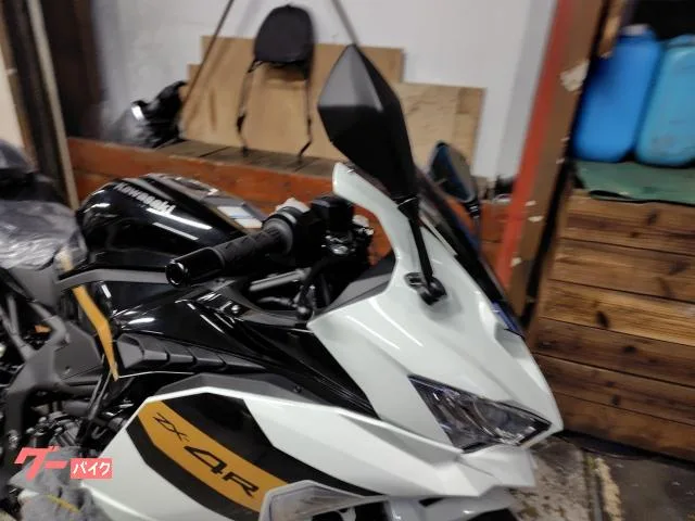 Kawasaki Ninja ZX-4R SE 2026 2026 — миниатюра 4