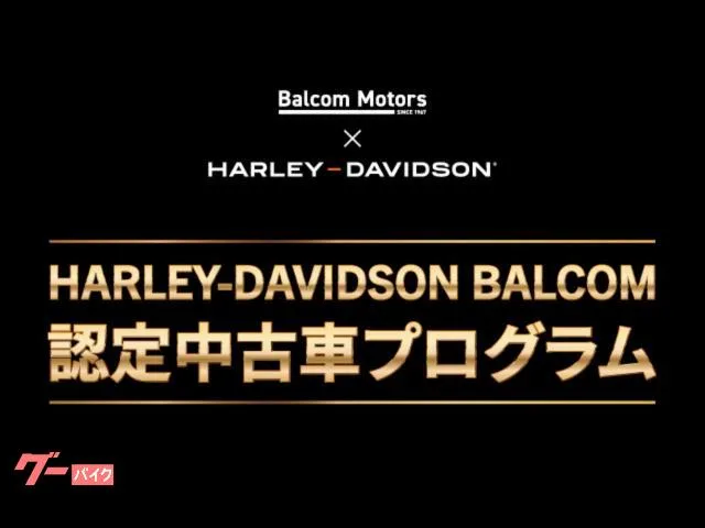 HARLEY-DAVIDSON X350 LED 2024 — миниатюра 3
