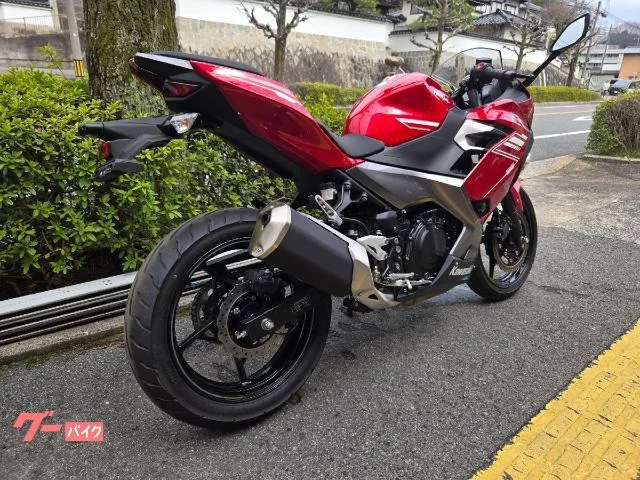 Kawasaki Ninja 250 2022 — миниатюра 3