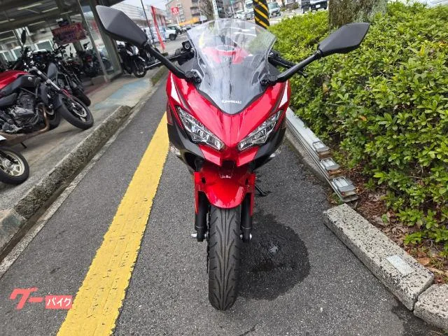 Kawasaki Ninja 250 2022 — миниатюра 4