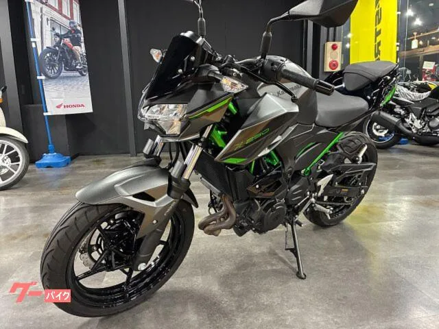 Kawasaki Z250 ETC2.0 ABS 2024 — миниатюра 2
