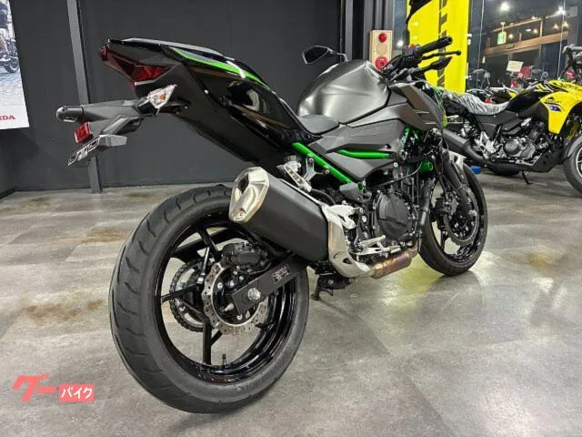 Kawasaki Z250 ETC2.0 ABS 2024 — миниатюра 3
