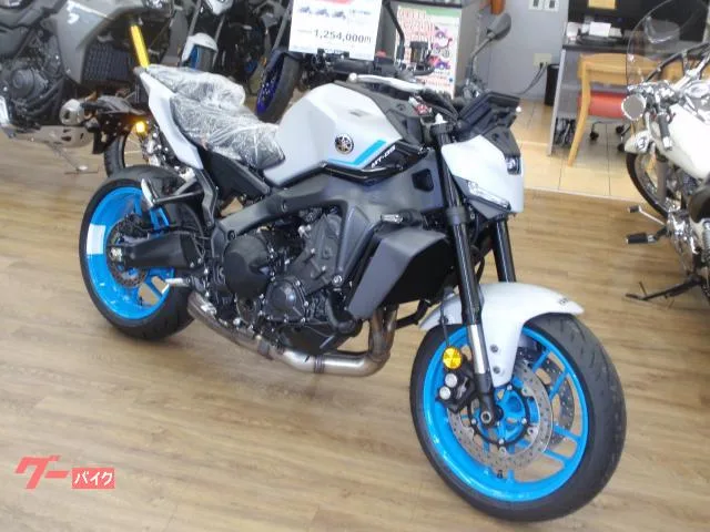 Yamaha MT-09 2025 — фото 1, купить с доставкой в Москву