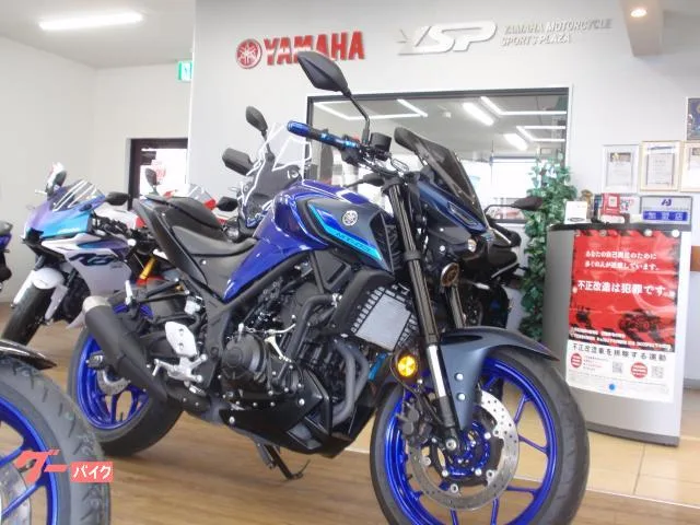 Yamaha MT-03(320cc) 2023 — фото 1, купить с доставкой в Москву