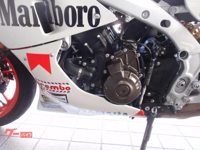 Yamaha XSR900GP. 2024 — миниатюра 2