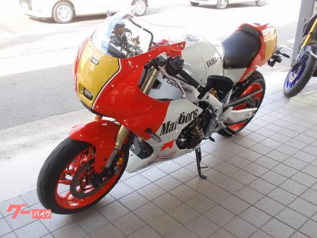 Yamaha XSR900GP. 2024 — миниатюра 4