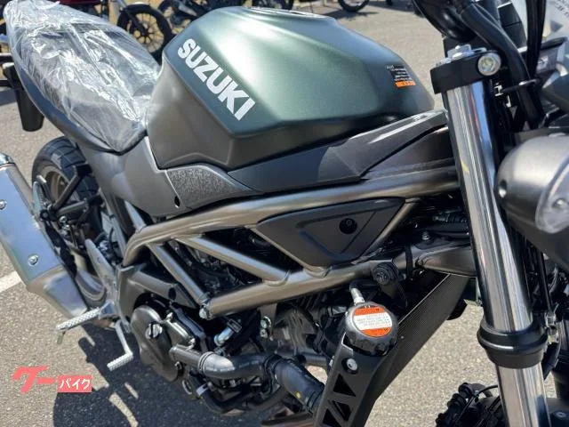 Suzuki SV650 2025NEW 2025 — миниатюра 2