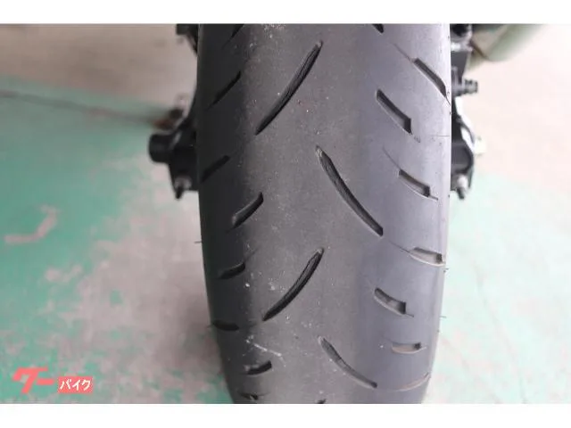 Kawasaki Ninja ZX-4RR ABS GB 2024 — миниатюра 2