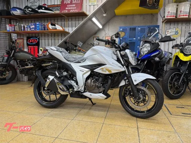 Suzuki GIXXER 250 ABS LED 2026 2026 — фото 1, купить с доставкой в Москву