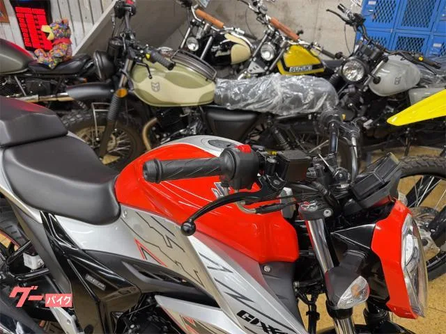 Suzuki GIXXER 150 ABS LED 2023 — миниатюра 4